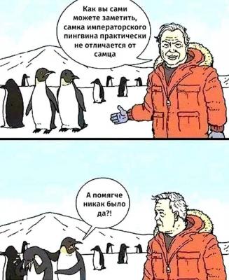 Прикрепленное изображение: photo_.jpg